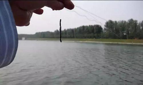 如何正确进行钓鱼调漂和铅皮修剪？常见问题有哪些解决方法？  第3张