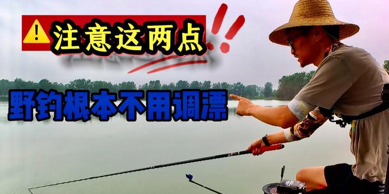 钓鱼调漂技巧初学者如何快速上手？有哪些常见问题需要避免？  第3张