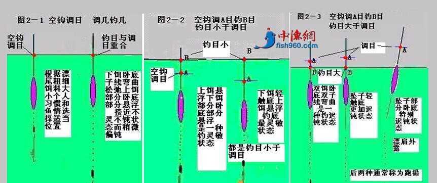 钓鱼调漂技巧钓鱼如何调漂？调漂的正确步骤是什么？  第3张