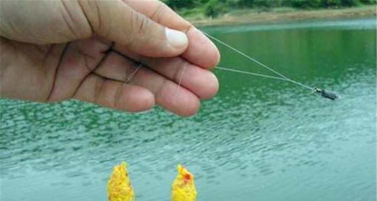 如何掌握钓鱼调漂技巧？浮钓教程有哪些常见问题解答？  第3张