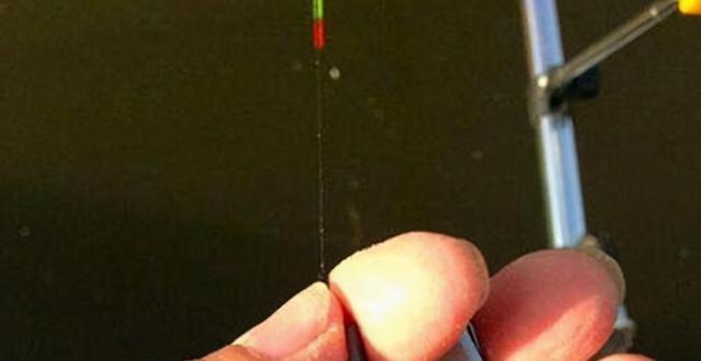 如何掌握钓鱼调漂技巧？调漂方法教程有哪些常见问题？  第2张