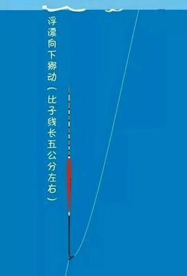 钓鱼调漂技巧怎样才灵？如何快速掌握调漂的秘诀？  第3张