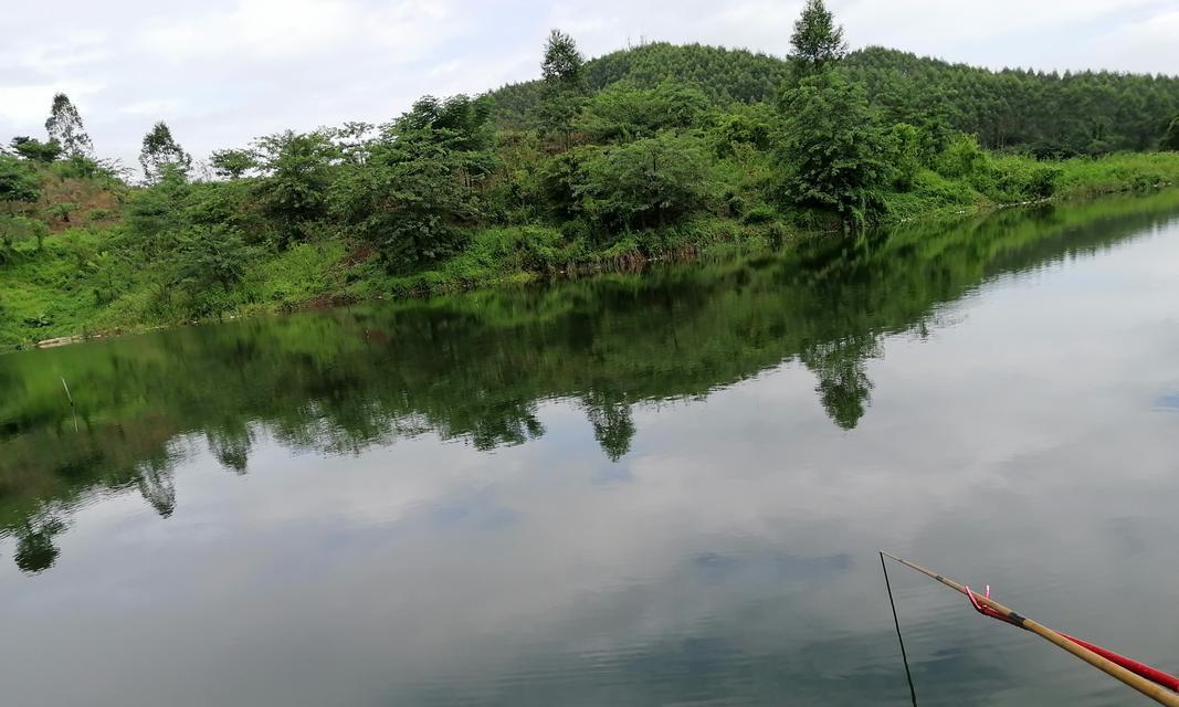 钓鱼调漂教程技巧和方法？如何快速掌握钓鱼调漂？  第3张