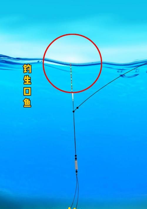 如何快速掌握钓鱼调漂小技巧？最简单的步骤是什么？  第1张