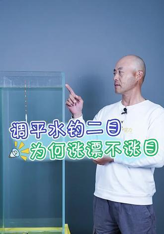 如何掌握钓鱼调平水钓二目技巧？常见问题有哪些？  第1张