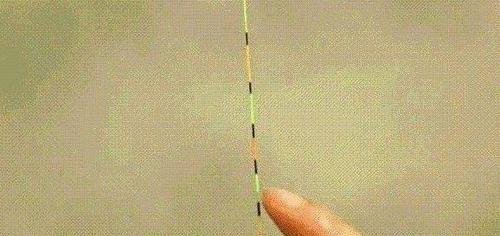 如何掌握钓鱼调平水钓二目技巧？常见问题有哪些？  第2张