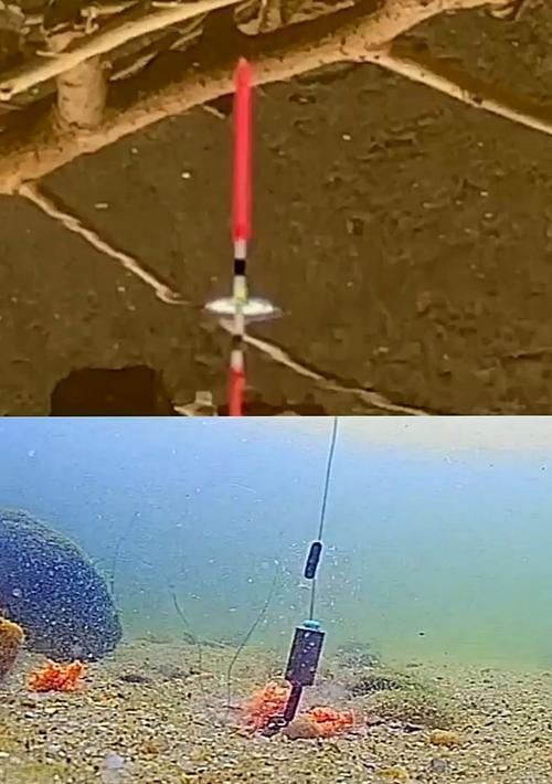 如何掌握钓鱼调平水技巧？调平水技巧常见问题解答？  第1张