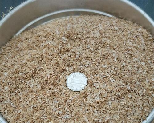 钓鱼调食料技巧有哪些？如何根据季节调整食料？  第1张