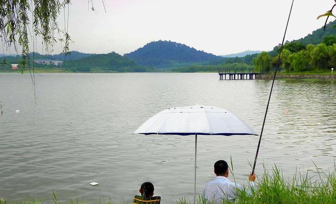 钓鱼定律和技巧是什么？如何应用这些技巧提高钓鱼成功率？  第1张