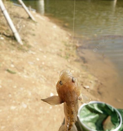 钓鱼都有什么技巧谁能告诉我？如何快速掌握钓鱼的诀窍？  第1张