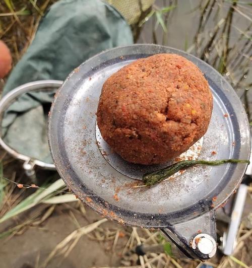 如何选择钓鱼水草边的钓位？有哪些选窝技巧？  第2张