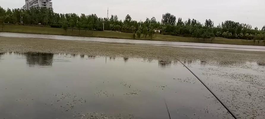 如何利用水草提高钓鱼效率？掌握这些技巧了吗？  第1张