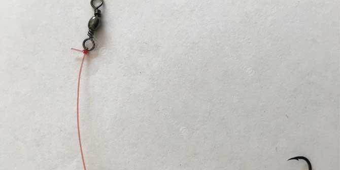 如何掌握钓鱼水底抛竿技巧？常见问题有哪些？  第1张