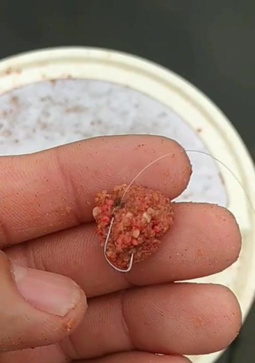 钓鱼特殊小技巧有哪些？如何提高钓鱼成功率？  第3张