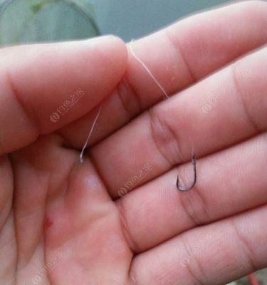 钓鱼提竿抖动技巧是什么？如何正确运用以提高钓鱼效率？  第2张