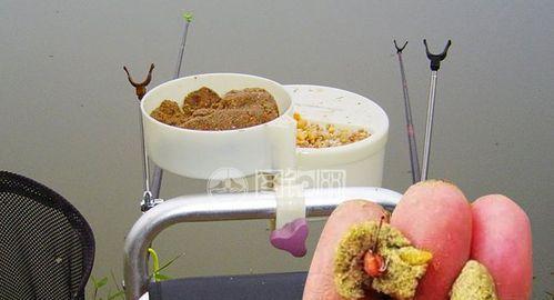 如何掌握正确的钓鱼提竿时机和技巧？  第3张