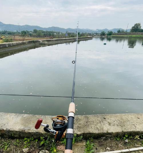 钓鱼天气技巧口诀是什么？如何根据天气选择最佳钓鱼时机？  第2张