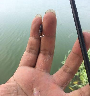 钓鱼时拉扯技巧的重要性是什么？如何正确运用？  第3张