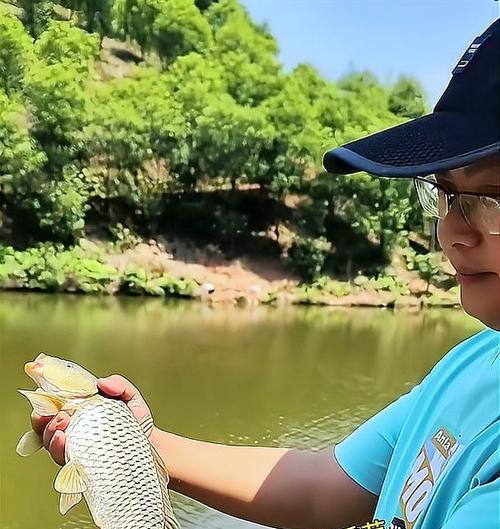 如何掌握钓鱼窝饵分家技巧法？分家技巧法有哪些常见问题？  第3张