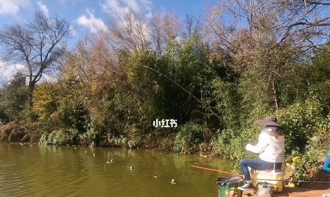 钓鱼下窝子技巧有哪些？如何正确使用窝料提高钓鱼效率？  第1张