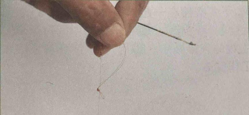 如何掌握钓鱼线轮甩竿技巧？常见错误有哪些？  第3张