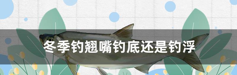 钓鱼小技巧：如何从钓底转变为钓浮？  第1张