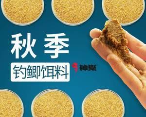 如何正确搭配钓鱼小药？搭配钓鱼小药时常见的问题有哪些？  第1张