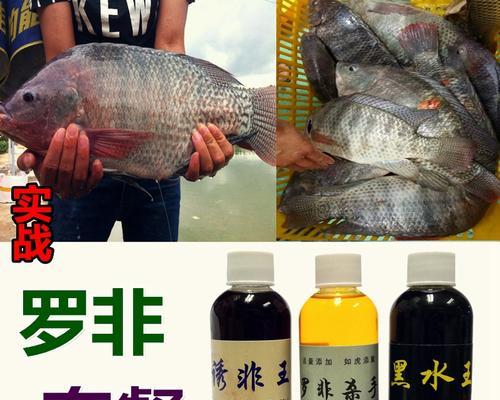 钓鱼小药如何选择？使用技巧有哪些？  第2张