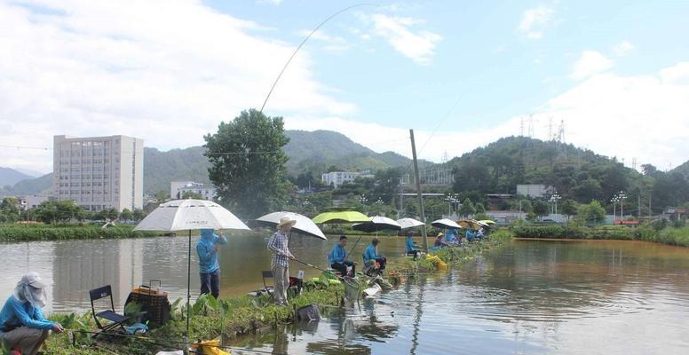 钓鱼新手必备的技巧？如何快速掌握钓鱼要领？  第3张