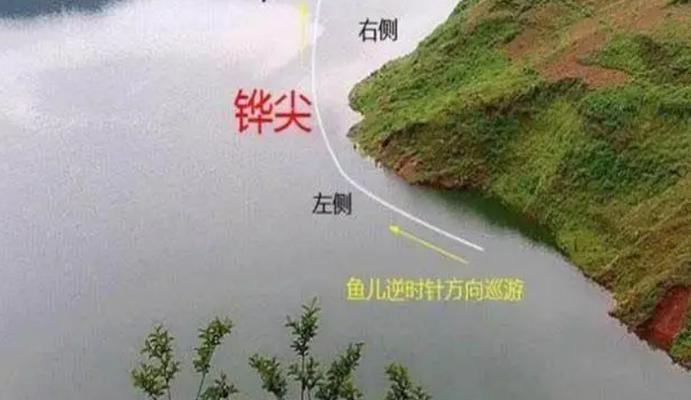 钓鱼新手技巧教程？如何快速掌握钓鱼的基本技巧？  第3张