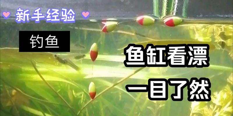 钓鱼新手看漂技巧？如何正确解读浮漂信号？  第2张