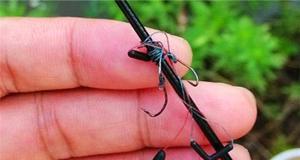钓鱼新手线组使用技巧？如何正确选择和使用线组？  第1张