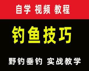 钓鱼需要哪些技巧？如何提高钓鱼成功率？  第1张