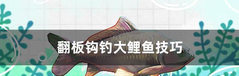 如何选择合适的钓鱼钩？掌握这些技巧提高钓鱼成功率？  第1张