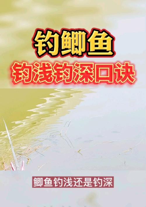 如何掌握钓鱼选位技巧口诀？有效提高钓鱼成功率的方法是什么？  第2张