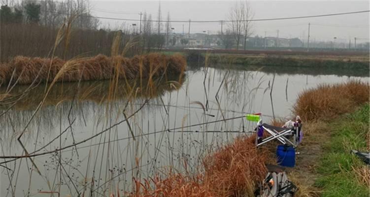 一年四季钓鱼技巧有哪些？不同季节钓鱼方法有何不同？  第1张