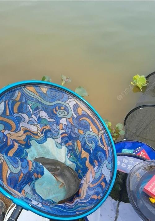 钓鱼阴人技巧讲解？如何有效提升钓鱼成功率？  第1张