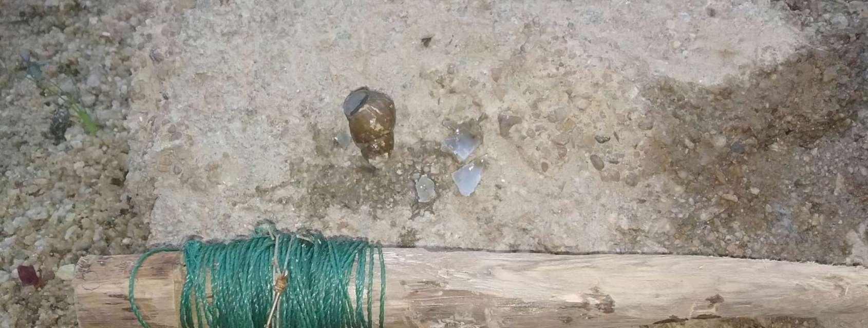 如何正确使用螺蛳肉进行钓鱼？使用螺蛳肉钓鱼有哪些技巧？  第3张