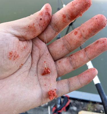 如何选择合适的钓鱼竿子？掌握钓鱼用竿子的技巧和方法有哪些？  第3张