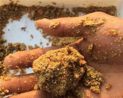 如何正确使用棺材打窝技巧提高钓鱼效率？常见问题有哪些？  第3张