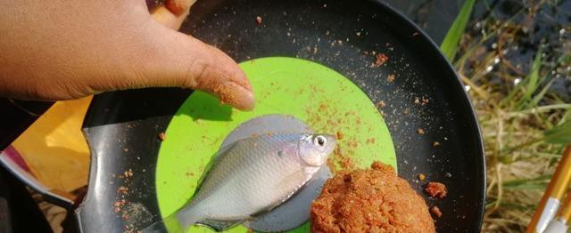 如何掌握钓鱼时拉饵的看漂技巧？常见问题有哪些？  第1张