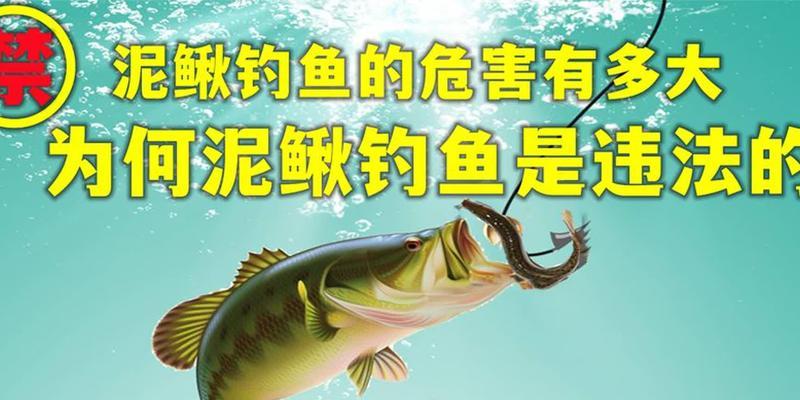 泥鳅打窝技巧有哪些？如何正确使用泥鳅提高钓鱼效率？  第3张