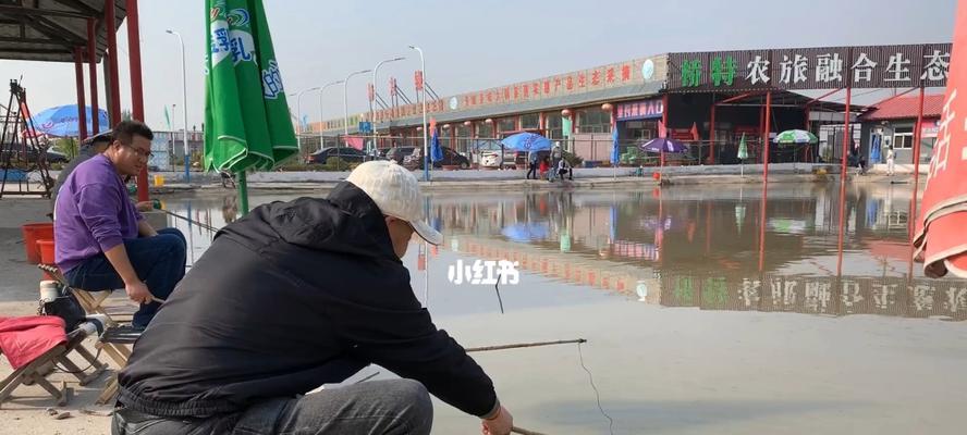 如何使用螃蟹作为钓鱼窝料？有哪些有效技巧？  第1张