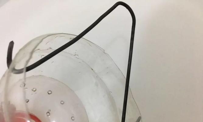 如何使用塑料瓶进行钓鱼？有哪些技巧可以提高成功率？  第3张