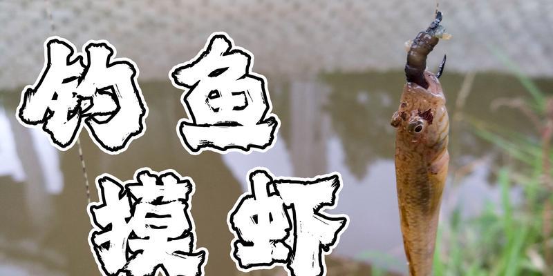 如何使用塑料瓶进行钓鱼？塑料瓶抓鱼有哪些技巧？  第1张