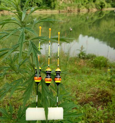 如何使用小虾作为钓鱼诱饵？小虾钓鱼技巧有哪些常见问题？  第1张