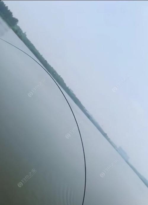 钓鱼有技巧囗决是什么？如何快速掌握钓鱼技巧？  第3张