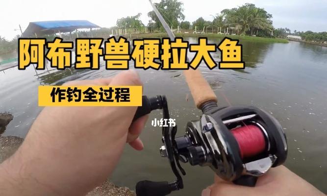 钓鱼有没有啥技巧？如何提高钓鱼成功率？  第2张