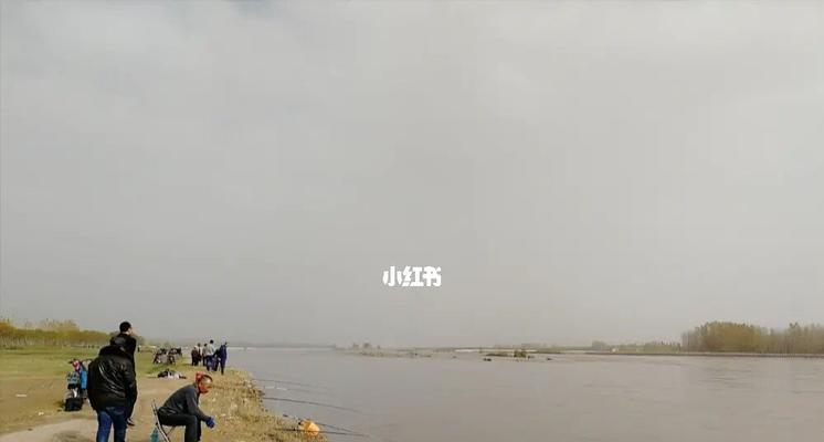 钓鱼技巧全攻略：掌握这些功夫和技巧，新手也能成为高手？  第2张
