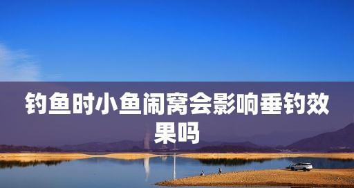 钓鱼时小鱼闹窝怎么办？有哪些有效技巧可以应对？  第2张